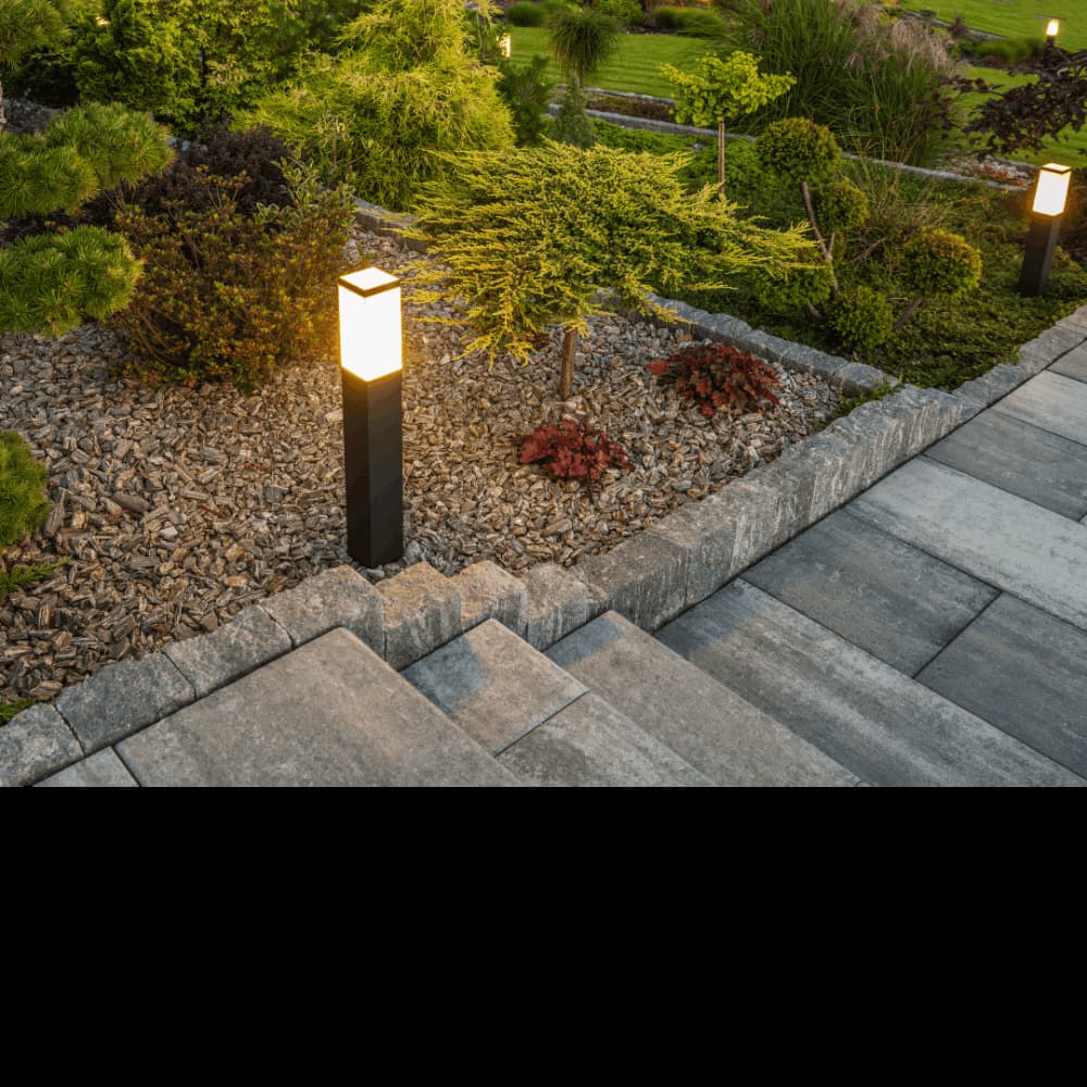 Illuminated garden path with modern lights and landscaped greenery.